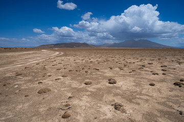 Eduardo Avaroa Andean Fauna National Reserve, Blanca, Verde, Salvatore Dali Desert, Bolivia. Best landscape of Bolivia, wallpaper