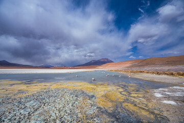 Eduardo Avaroa Andean Fauna National Reserve, Blanca, Verde, Salvatore Dali Desert, Bolivia. Best landscape of Bolivia, wallpaper