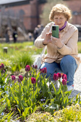 A woman takes a photo of blooming flowers in a flowerbed on her phone. Spring. Spring blossom.
