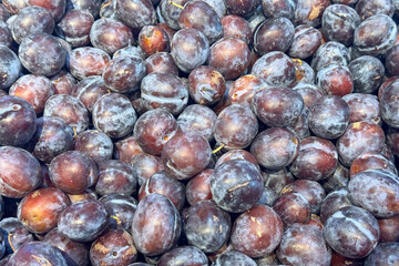 fresh, ripe plums with deep purple and reddish hues displayed in a grocery store