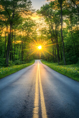 Obraz premium Serene Countryside Road Leading into the Horizon at Sunset, Lined with Lush Trees and Wildflowers