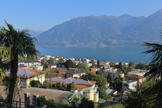 Aerial view of the town center on the shore of Lake Maggiore. Town of Muralto, district of Locarno, canton of Ticino in Switzerland.