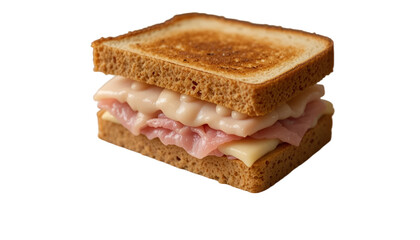 sandwich with cheese
ham and cheese sandwich on a plate