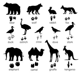 Animals shapes with footprints. Mammal and birds paw prints. Black silhouette steps tracks. Text inscriptions. Wildlife creatures. Ostrich or elephant trails. Vector zoo footsteps set