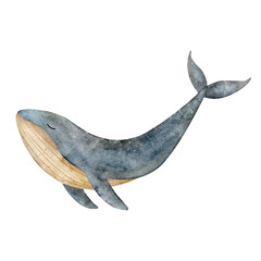 Blue whale watercolor illustration in a vintage nursery style. A hand-drawn underwater mammal drawing isolated from the background for card designs, nursery posters, baby showers, stickers, bathroom