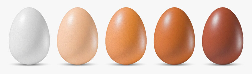Set of realistic 3d vector egg in row, showcasing various colors from white to dark brown. Chicken different whole eggs for food design, packaging or educational materials isolated on white background