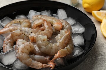 Fresh raw shrimps with ice cubes in bowl on grey table, closeup