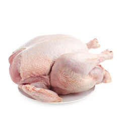 One whole raw turkey isolated on white
