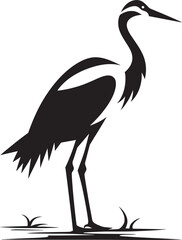 Obraz premium The Influence of Light on Heron Behavior Exploring Photoperiodism