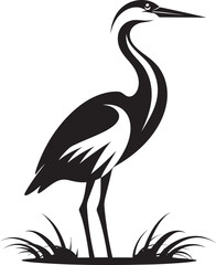 Fototapeta premium Herons and Their Role in Fisheries Management A Natural Balancing Act