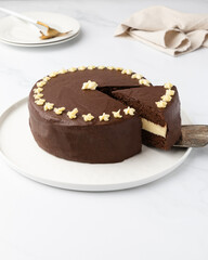 Homemade layer decadent chocolate cake with slices removed