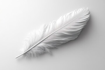 Elegant White Feather on a Light Gray Background