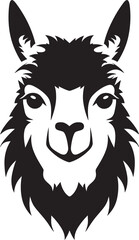 Llamas and Landscapes The Beauty of the Andes