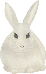Obraz premium Easter bunny Vector Watercolor, beautiful, baby shower, Easter card, spring animal, cartoon hare, grey rabbit for Printable Cards invitations greeting cards 