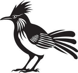 Fototapeta premium Chasing Shadows The Fast Paced Life of the Roadrunner