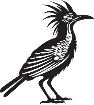 The Unique Footprints of a Roadrunner Tracking and Observation