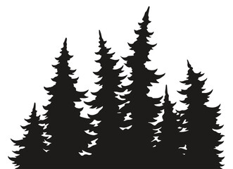 Obraz premium Evergreens silhouetted on a white backdrop
