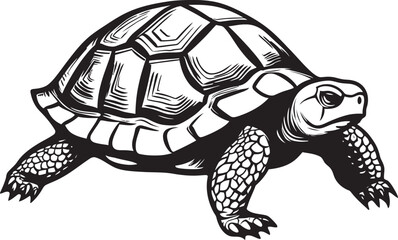Fototapeta premium Exploring the Unique Adaptations of Desert Tortoises Survival Strategies in Harsh Environments
