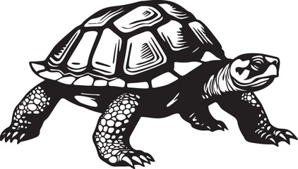 Fototapeta premium Tortoise Tracking Technology How Scientists Study Their Movements and Behaviors