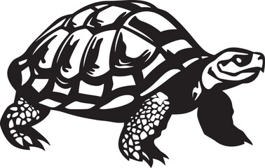 Fototapeta premium Tortoises in Art How Artists Have Captured Their Essence Through the Ages