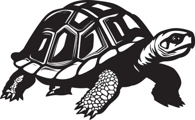 Fototapeta premium The Influence of Cultural Practices on Tortoise Conservation Traditions Beliefs and Change