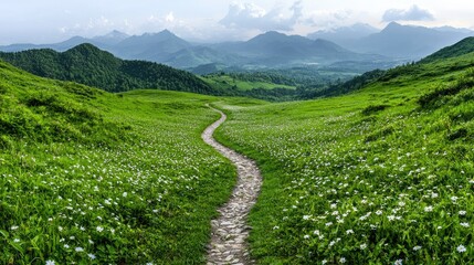 Fototapeta premium Mountain Path Through Blooming Meadow