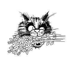 Cat with a bouquet of wildflowers in its mouth. Hand drawn vector illustration.