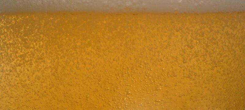 Bubbles in beer rising up to surface on background. Bubbles floating under transparent beer bubbles in glass
