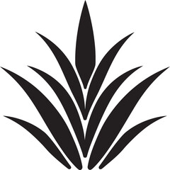 The Connection Between Aloe Vera and Immune System Support What Research Says