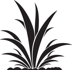 How Aloe Vera Can Enhance Your Fitness Journey A Natural Performance Boost