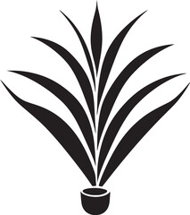 Aloe Vera and Its Connection to Gut Health Understanding the Science