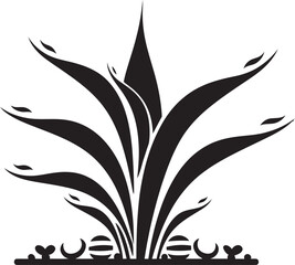 How Aloe Vera Can Enhance Your Beauty Routine Effective Tips