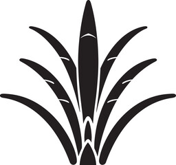 The Importance of Aloe Vera in Sustainable Product Development A Growing Trend