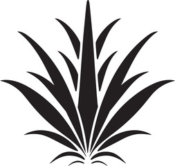 How Aloe Vera Can Benefit Your Immune System During Seasonal Changes