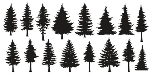Fototapeta premium Pine tree silhouette collection