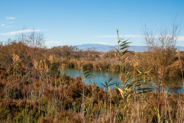 Albufera de Rambla de Morales in Cabo de Gata, Provinz Almería, Autonome Gemeinschaft Andalusien, Spanien