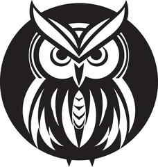 Fototapeta premium The Lifecycle of an Owl Stages from Hatchling to Adult