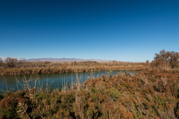 Albufera de Rambla de Morales in Cabo de Gata, Provinz Almería, Autonome Gemeinschaft Andalusien, Spanien