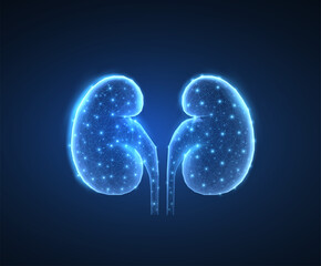 Kidney. Urological health, organ donation, medical technology, human anatomy