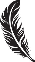 Understanding the Link Between Bird Feathers and Ecosystem Health Indicators of Biodiversity