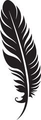 Obraz premium The Impact of Environmental Changes on Bird Feather Morphology Analyzing Adaptations