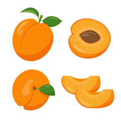 Fresh apricot fruits icons. Whole apricots, half apricot and pieces. Organic fruit for juice, smoothie or vitamin healthy food. Vector illustration isolated on white background.