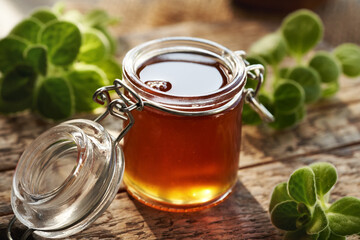 A jar of Plectranthus or Coleus amboinicus syrup for common cold with fresh plant