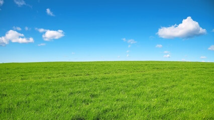 Green meadow with a blue sky