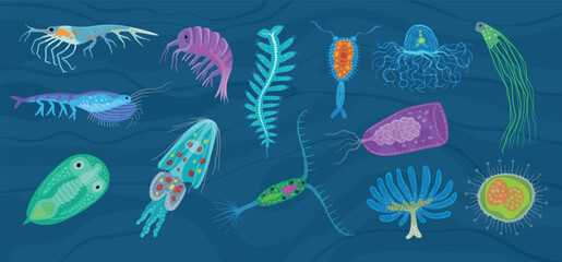 Plankton. Underwater ocean life different microorganism recent vector microbiology illustrations set