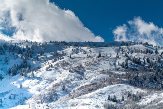 Trail of skis in the snow on a beautiful sunny day on a mountain with forest with a blue sky in Utah. High quality photo