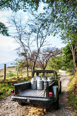 An old pickup truck loaded with metal milk canisters drives along a rugged dirt road, surrounded by lush trees and farmland under a bright sky. © Walter