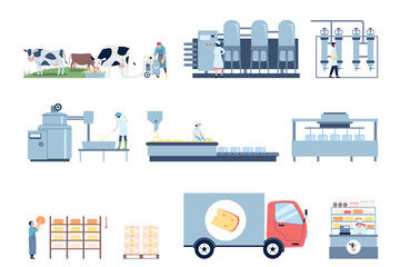 Cheese production. Food technology, cheese product from fresh raw milk. Farm, workers in industry, automated technologies and line, recent vector scenes