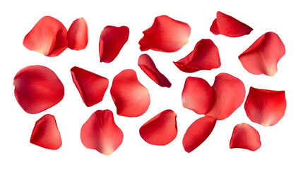 Fototapeta premium elegant collection of soft red flower petals isolated on a transparent background, generative ai