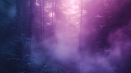 fog  and sunrise in the forest abstract light background